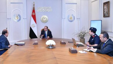 مشروع مستقبل مصر للإنتاج الزراعي