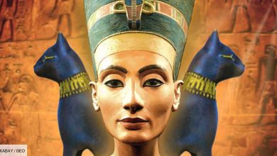 Sa Majesté la reine égyptienne Néfertiti